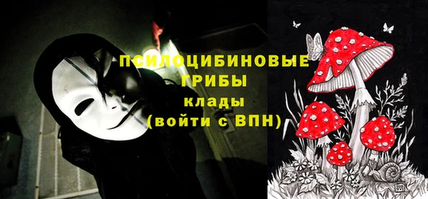 каннабис Арсеньев