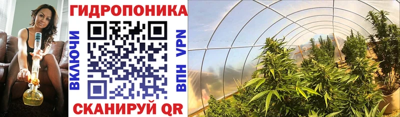 Купить закладки  Аркадак  Бошки марихуана семена 